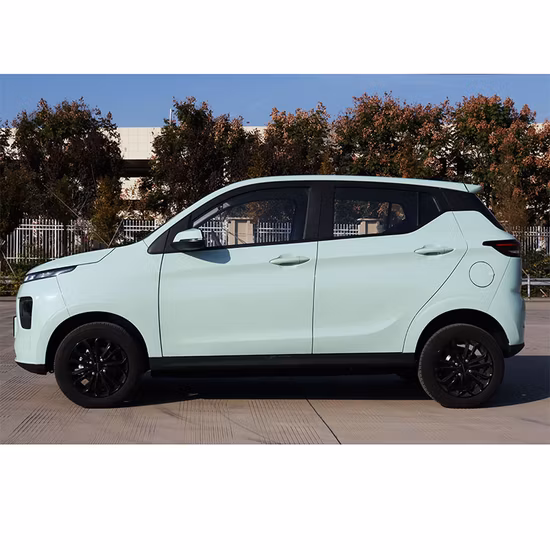 Voiture Multi